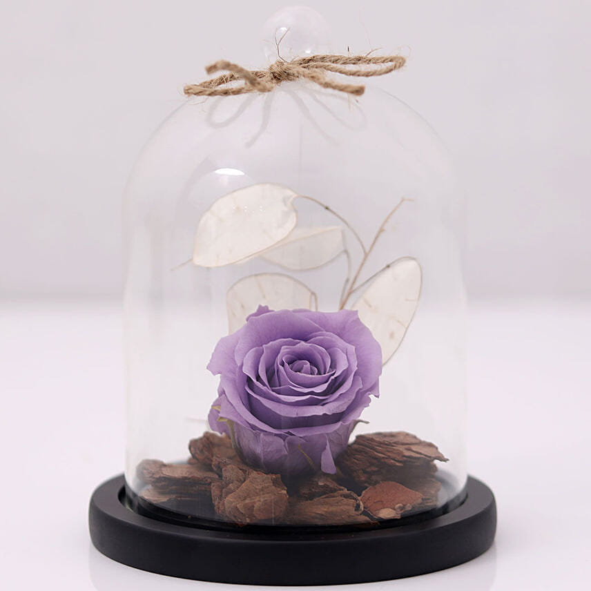 Purple Forever Rose In Glass Dome: Propose Day Flowers