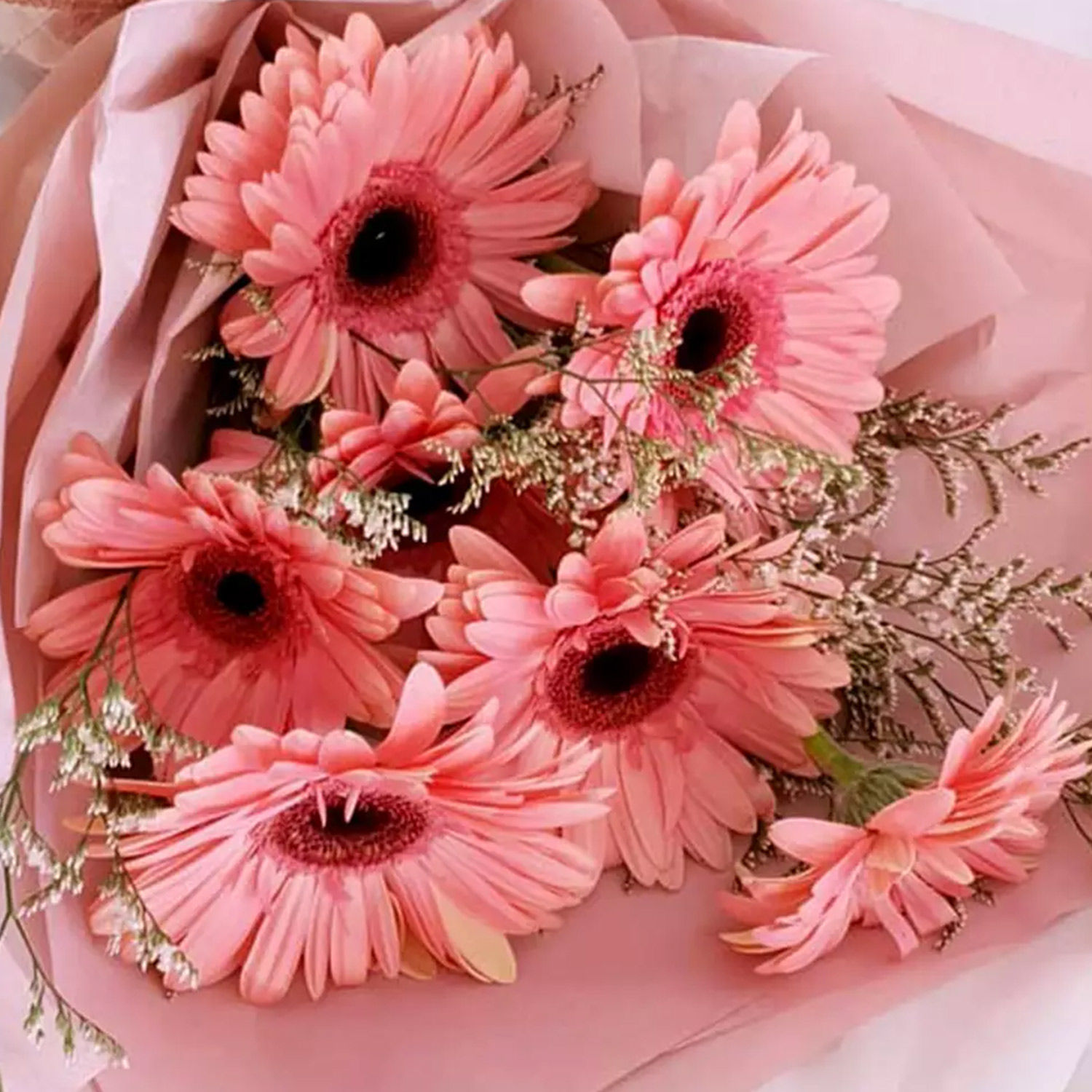 Online Elegant Pink Gerberas Beautifully Tied Bouquet Standard Gift