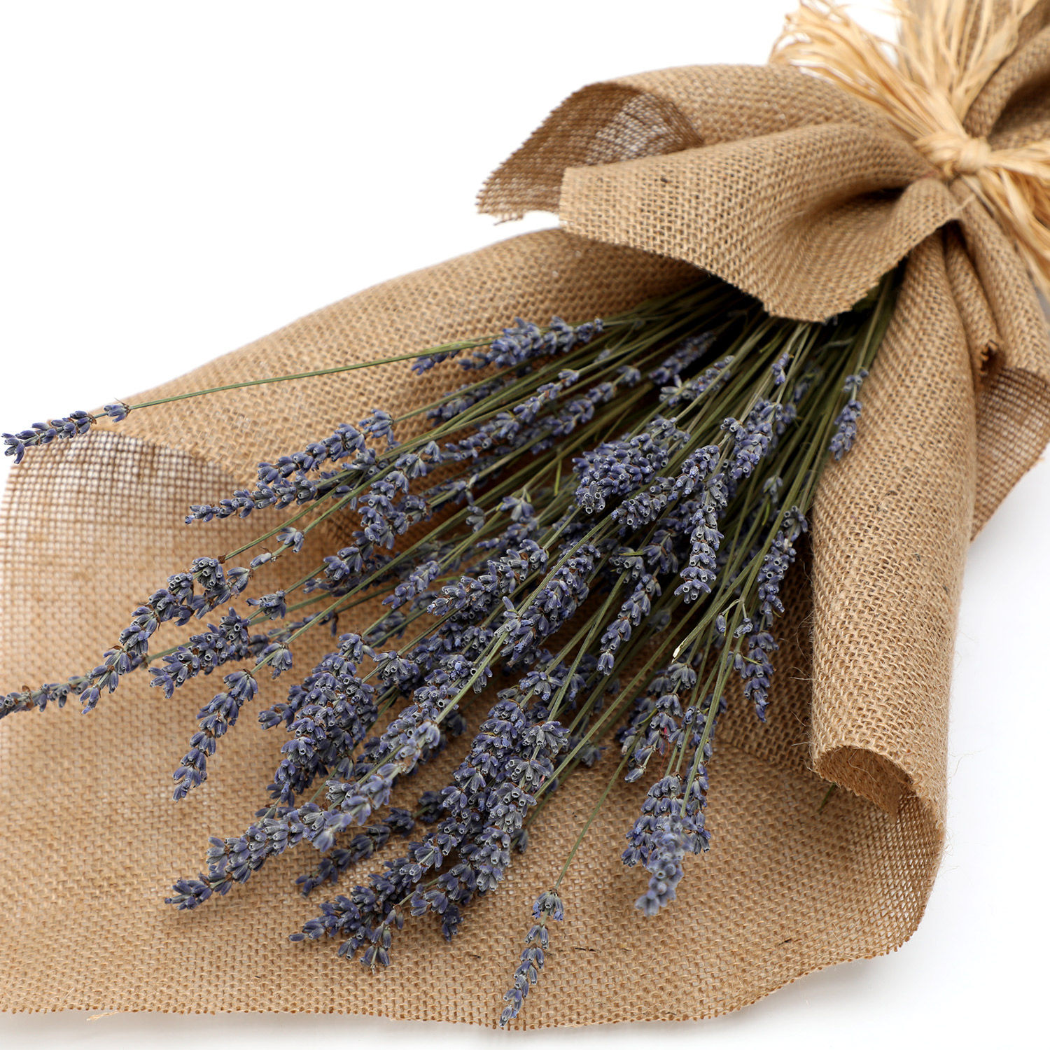Online Dried Lavender Bouquet Gift Delivery in UAE Ferns N Petals