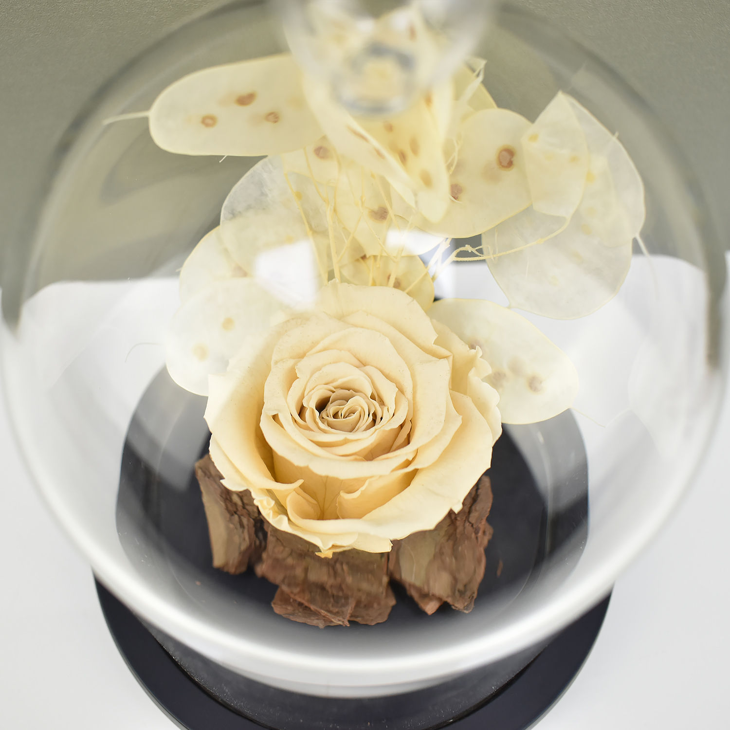 Online Peach Forever Rose In Glass Dome Gift Delivery in UAE - Ferns N ...